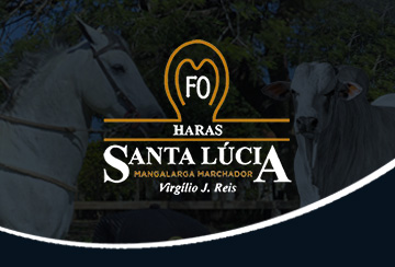 LEILÃO VIRTUAL HARAS SANTA LUCIA